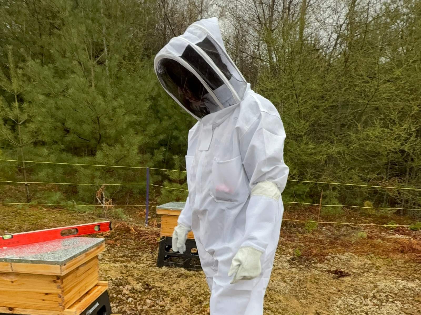 Tending the hives in full beekeeping gear