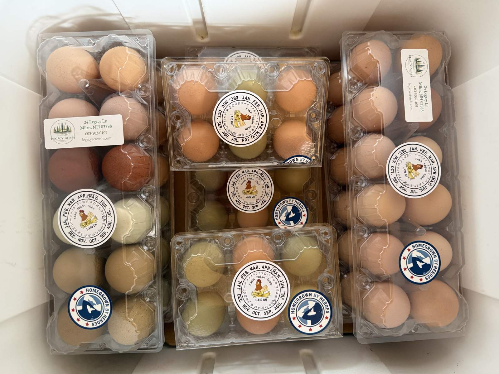 Cartons of Legacy Acres eggs ready for the farm stand