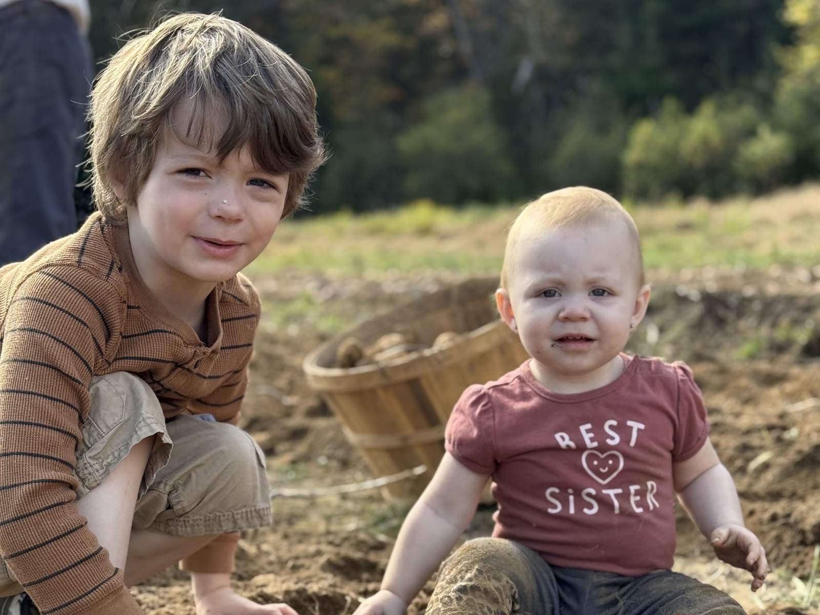 The family digging potatoes together in the field