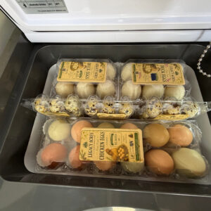 Legacy Acres duck egg cartons at the back of a cooler, with quail and chicken eggs in front