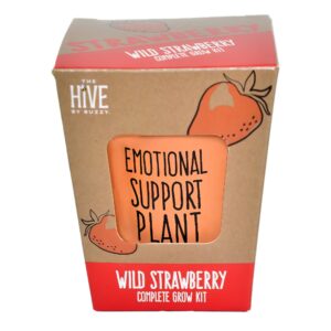 Buzzy Seeds Inspirational Wild Strawberry Grow Kit with terracotta pot
