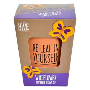 Buzzy Seeds Inspirational Wildflower Grow Kit with terracotta pot