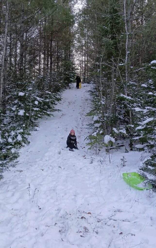 Child sitting on a sled partway down a snowy wooded path