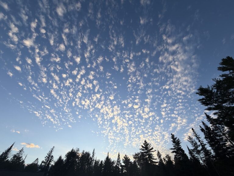 Sunlit cloud patterns over a dark line of evergreens