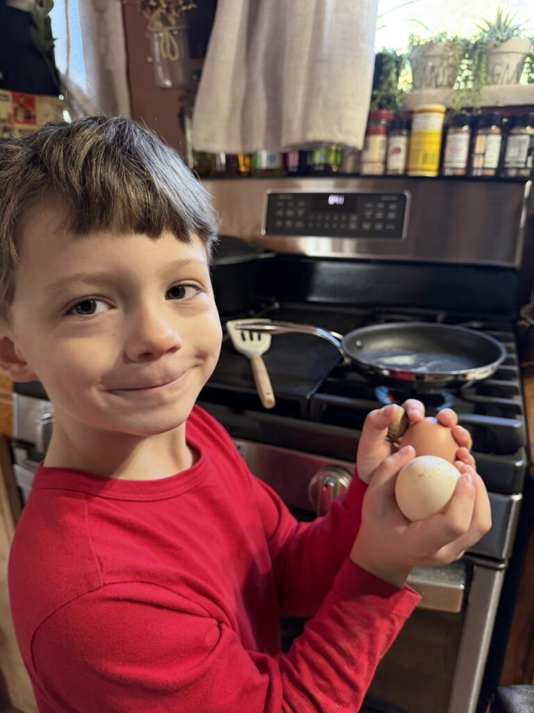Grandchild proudly holding freshly collected chicken duck and quail eggs in the kitchen
