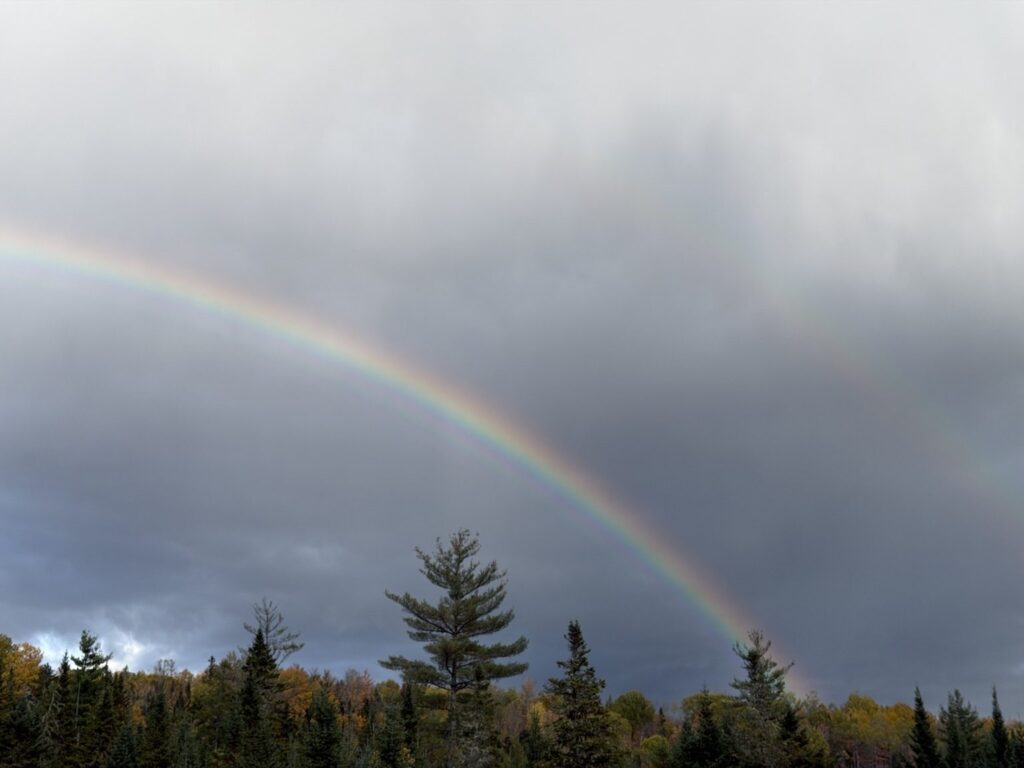 Rainbow stretching over tall trees and autumn woodland